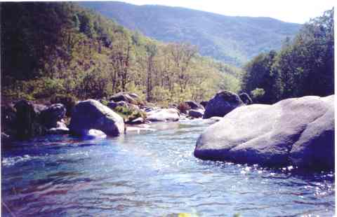 Este es mi blog! con&oacute;celo!